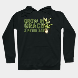 Grow in Grace Faith and Jesus Hoodie